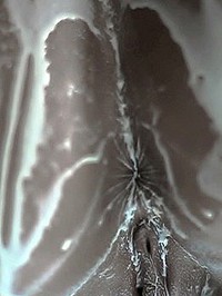 Kortney Kane - Cream #05