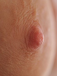 Danielle FTV Nude Photos #10