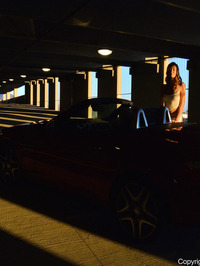 White In The Sunset #07