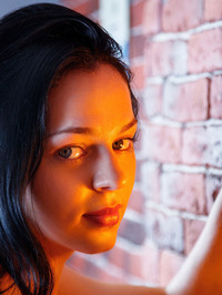 Red Bricks #02